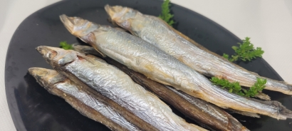 會游泳的魚